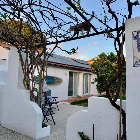 Casa Do Paco Aveiro Studio&Rooms Esterno foto