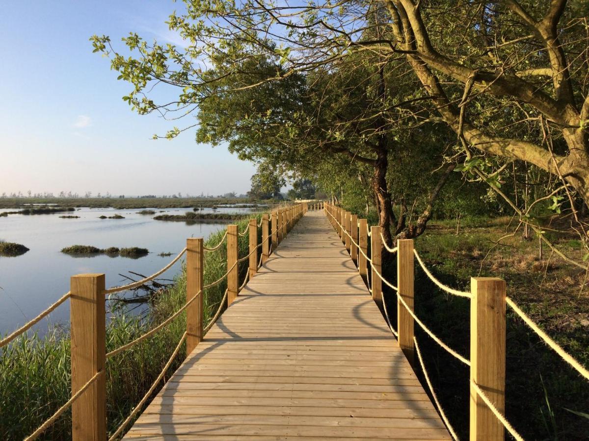 Homestay Casa Do Paco Studio&rooms Aveiro