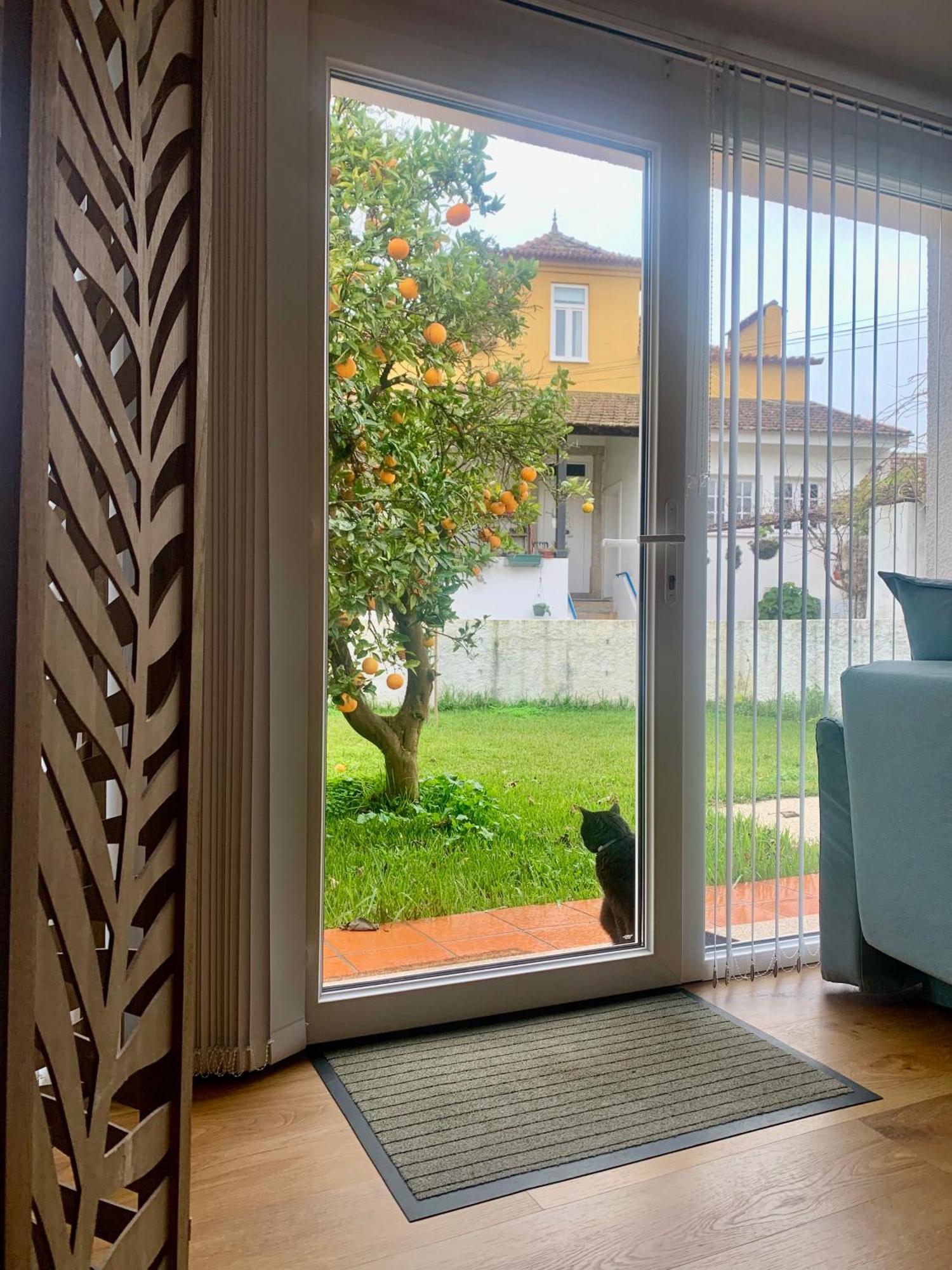 Homestay Casa Do Paco Studio&rooms Aveiro