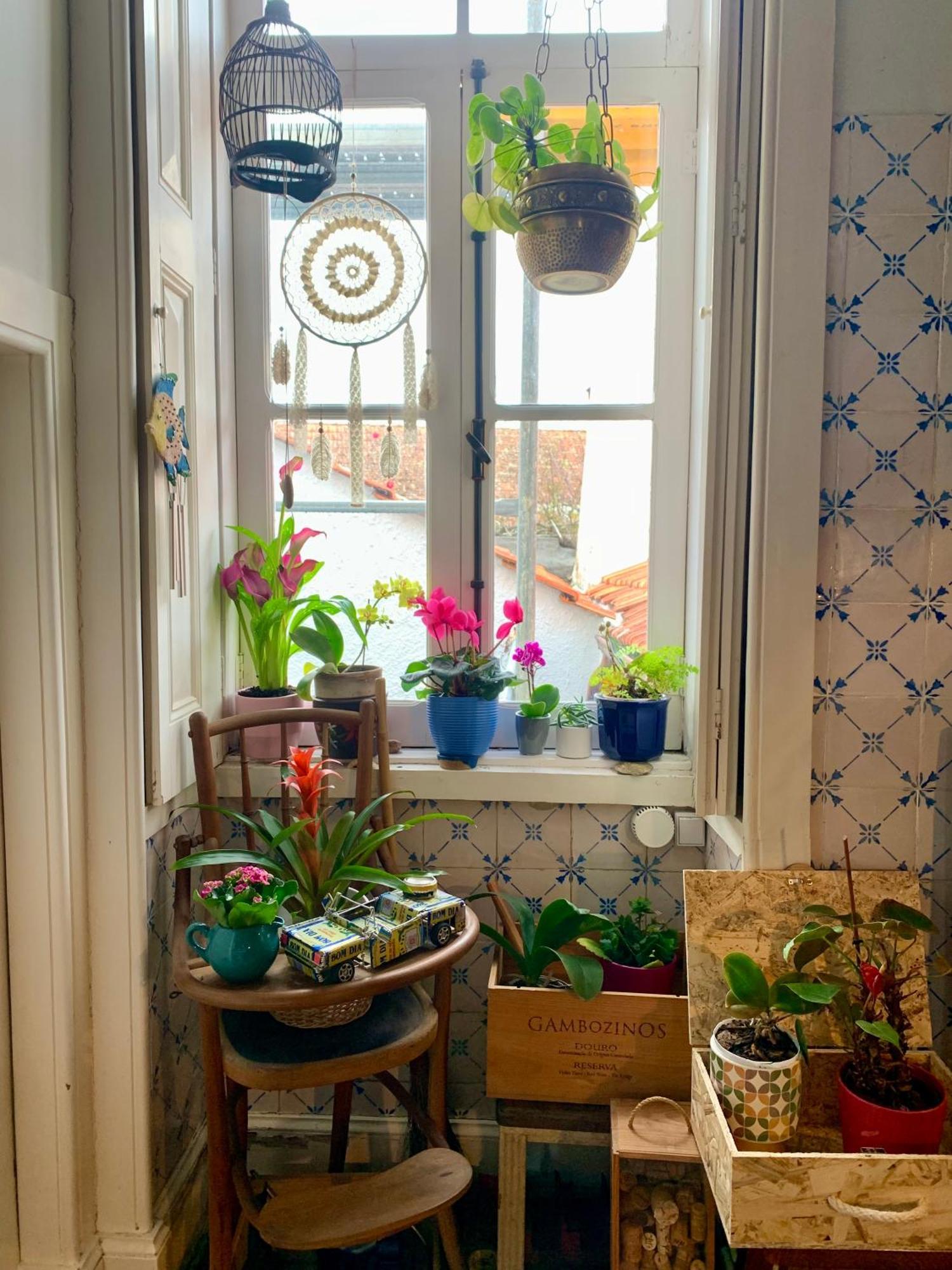 Homestay Casa Do Paco Studio&rooms Aveiro