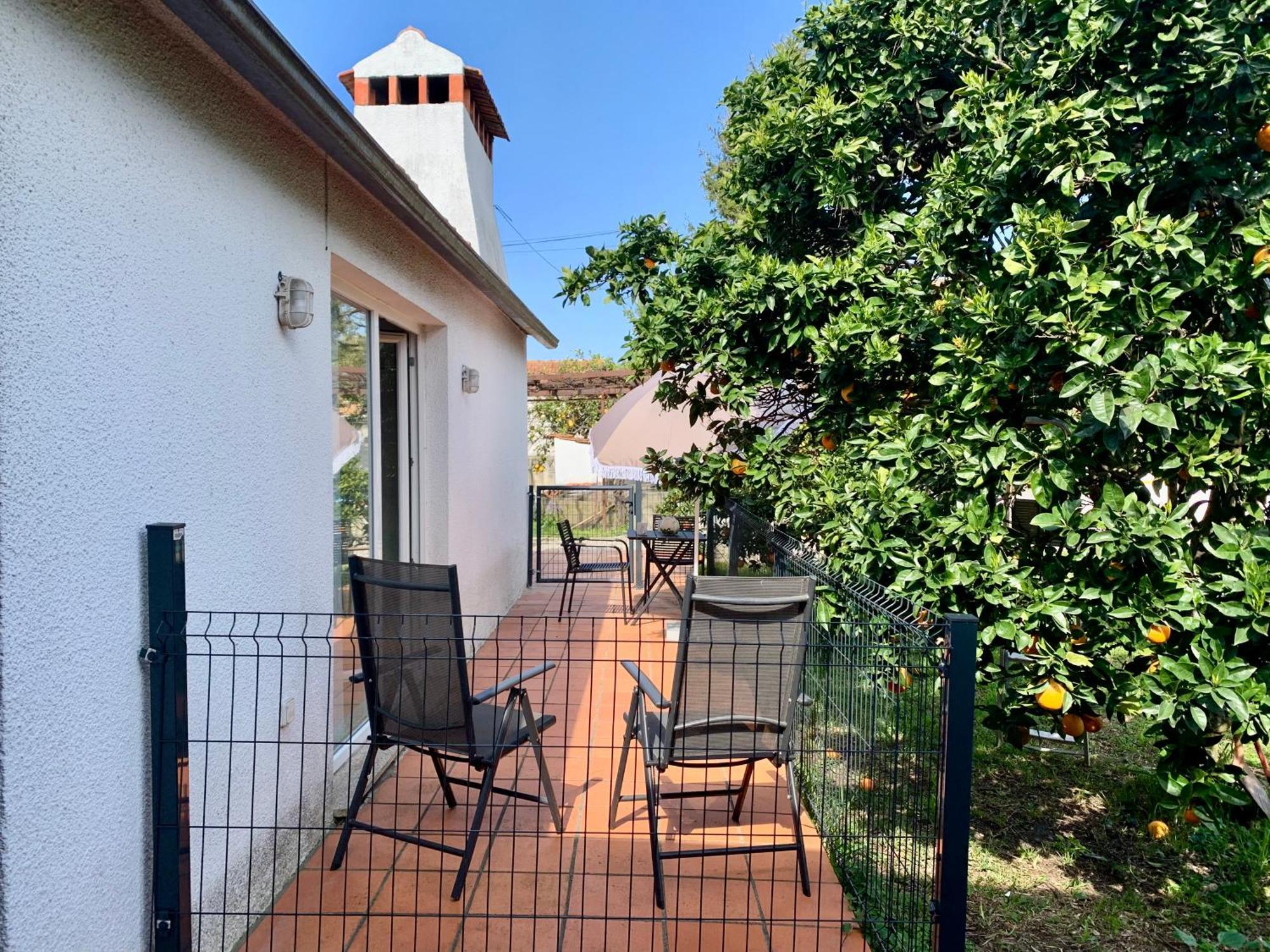 Homestay Casa Do Paco Studio&rooms Aveiro