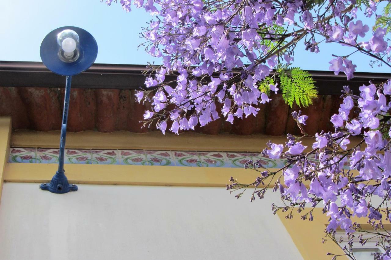 Homestay Casa Do Paco Studio&rooms Aveiro